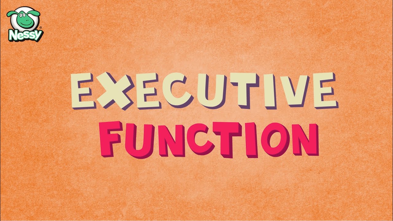 What is Executive Function?